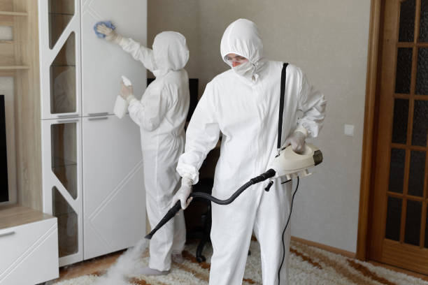 Mold Testing and Removal in Estill Springs, TN