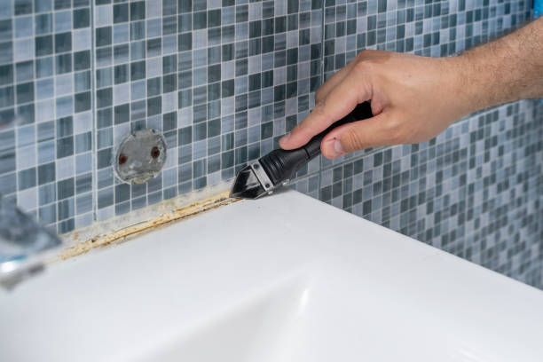 Best Toxic Mold Removal  in Estill Springs, TN